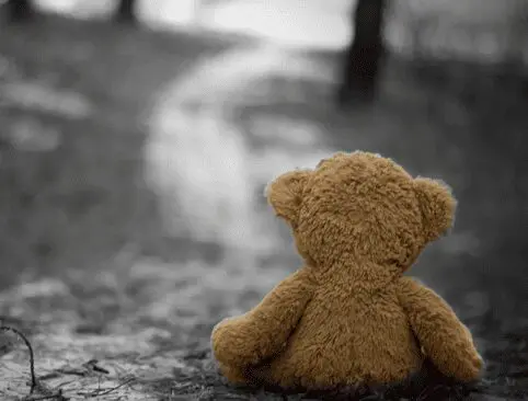 A teddy bear sitting on the ground in front of trees.